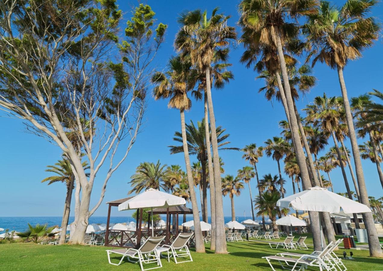 Leonardo Plaza Cypria Maris Beach Hotel & Spa view 5