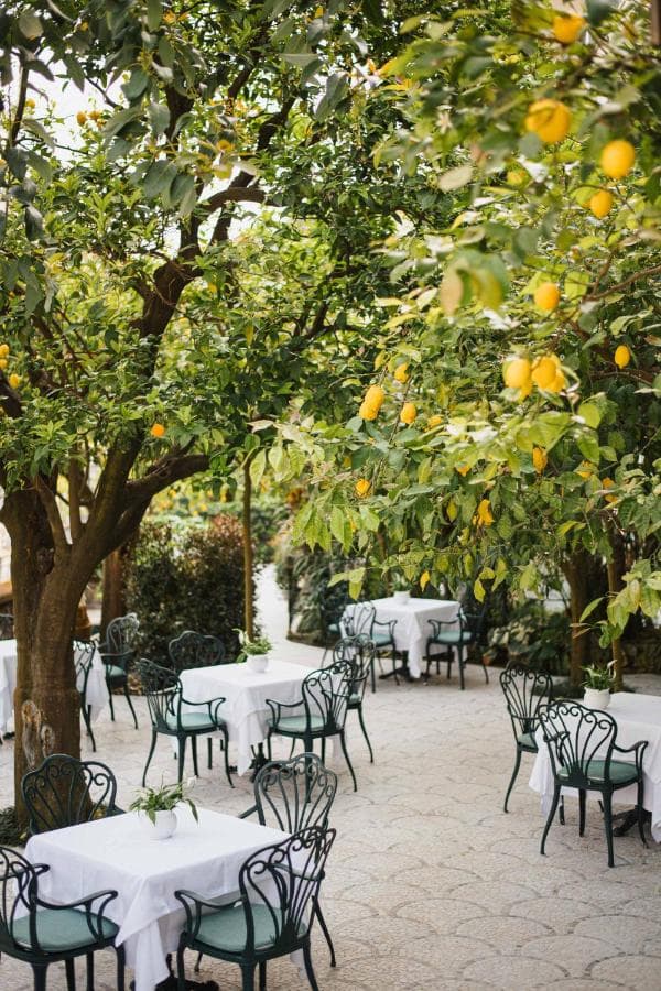 Grand Hotel La Favorita view 3