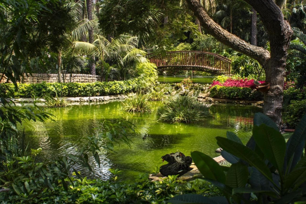 Hotel Botanico y Oriental Spa Garden view 3