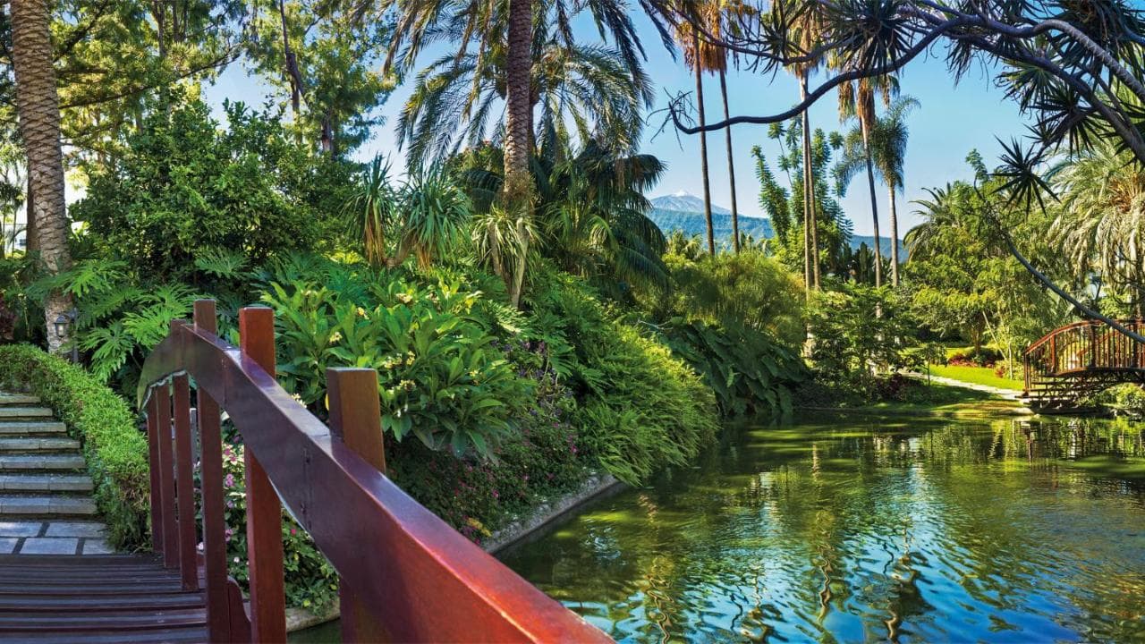 Hotel Botanico y Oriental Spa Garden view 2