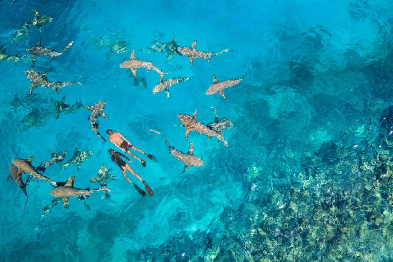 Anantara Veli Maldives Resort - Adults Only view 5