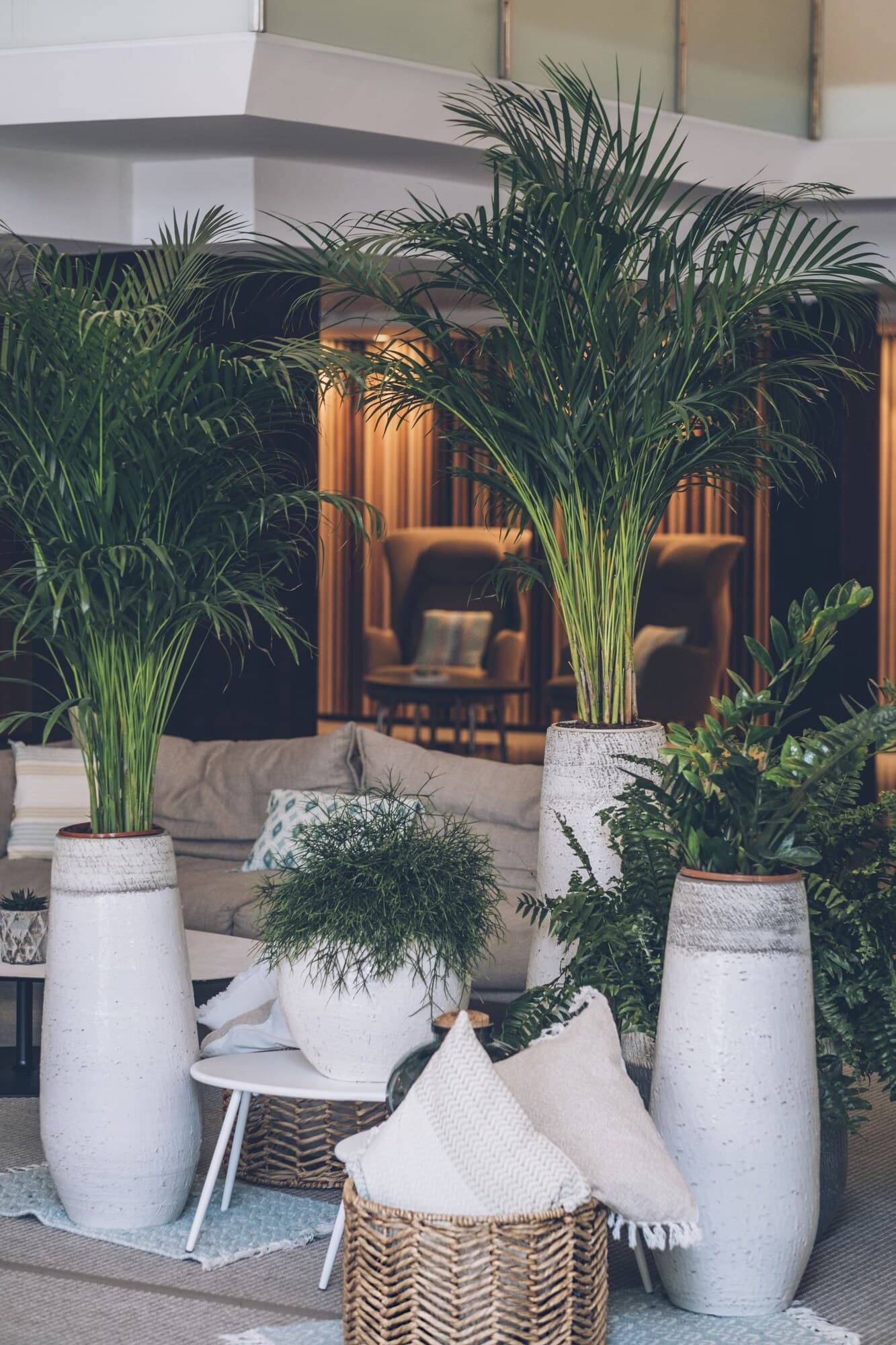 Iberostar Playa de Muro Village – Bild 6